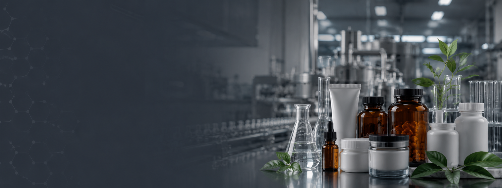 Pharmaceutical manufacturing facility