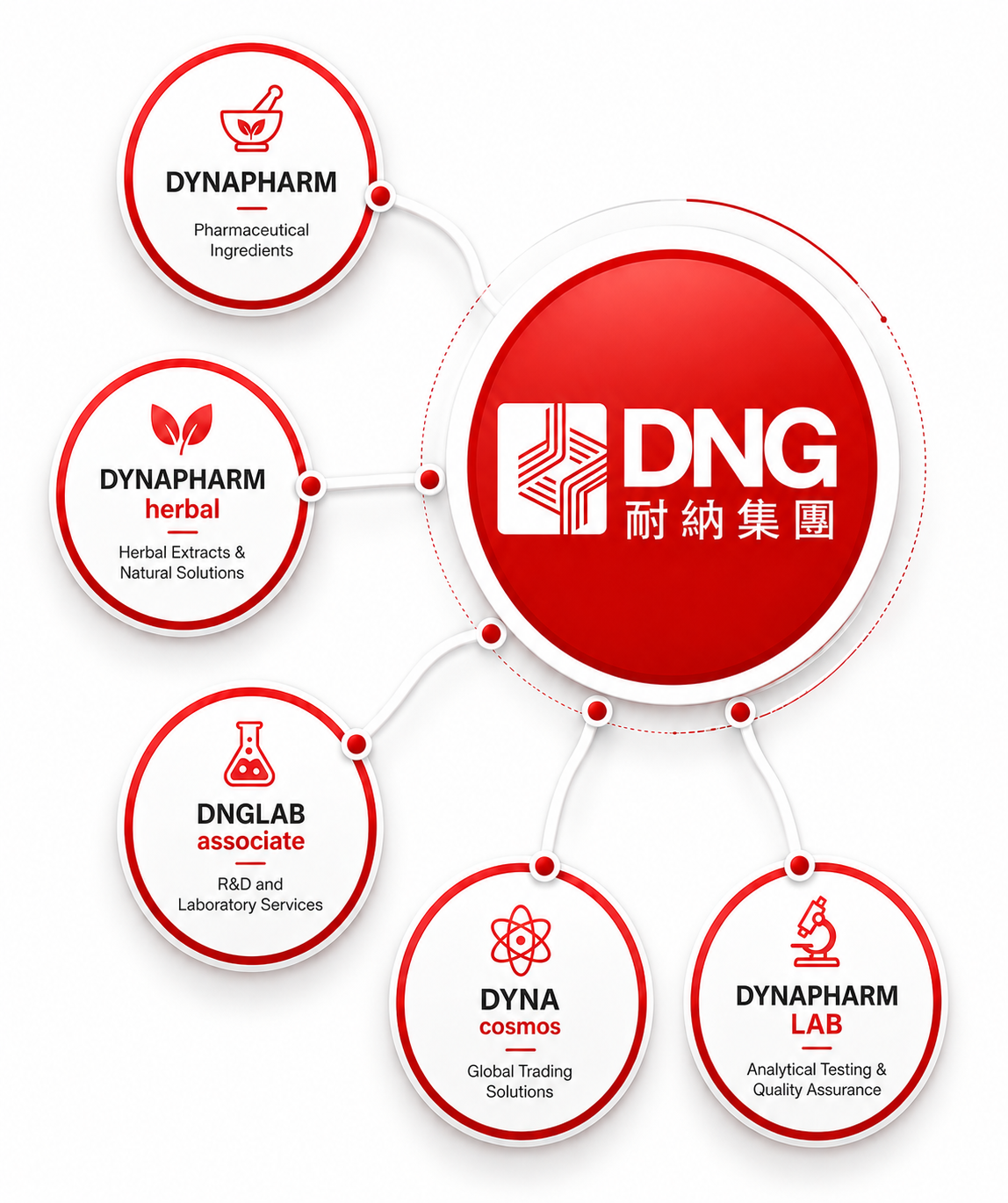 DNG Group Structure chart